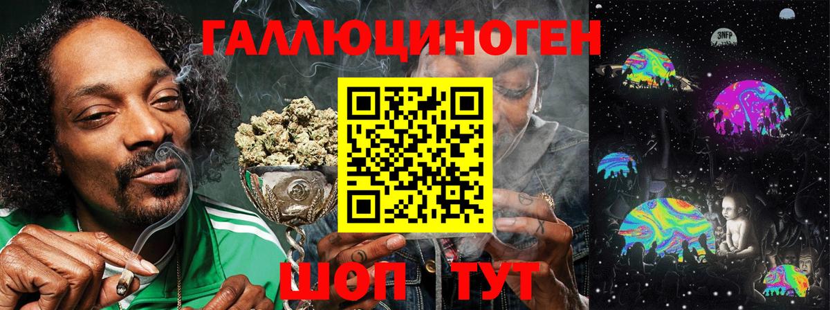 Зеленокумск  Галлюциногенные грибы Psilocybine cubensis  Вход с VPN 